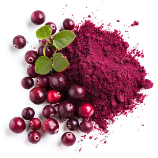 Cranberry Extract - 240mg